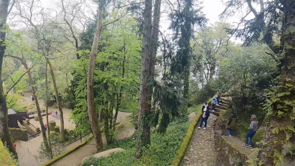 Sintra: Um Passeio pelo Castelo dos Mouros 🏰 4 image 3