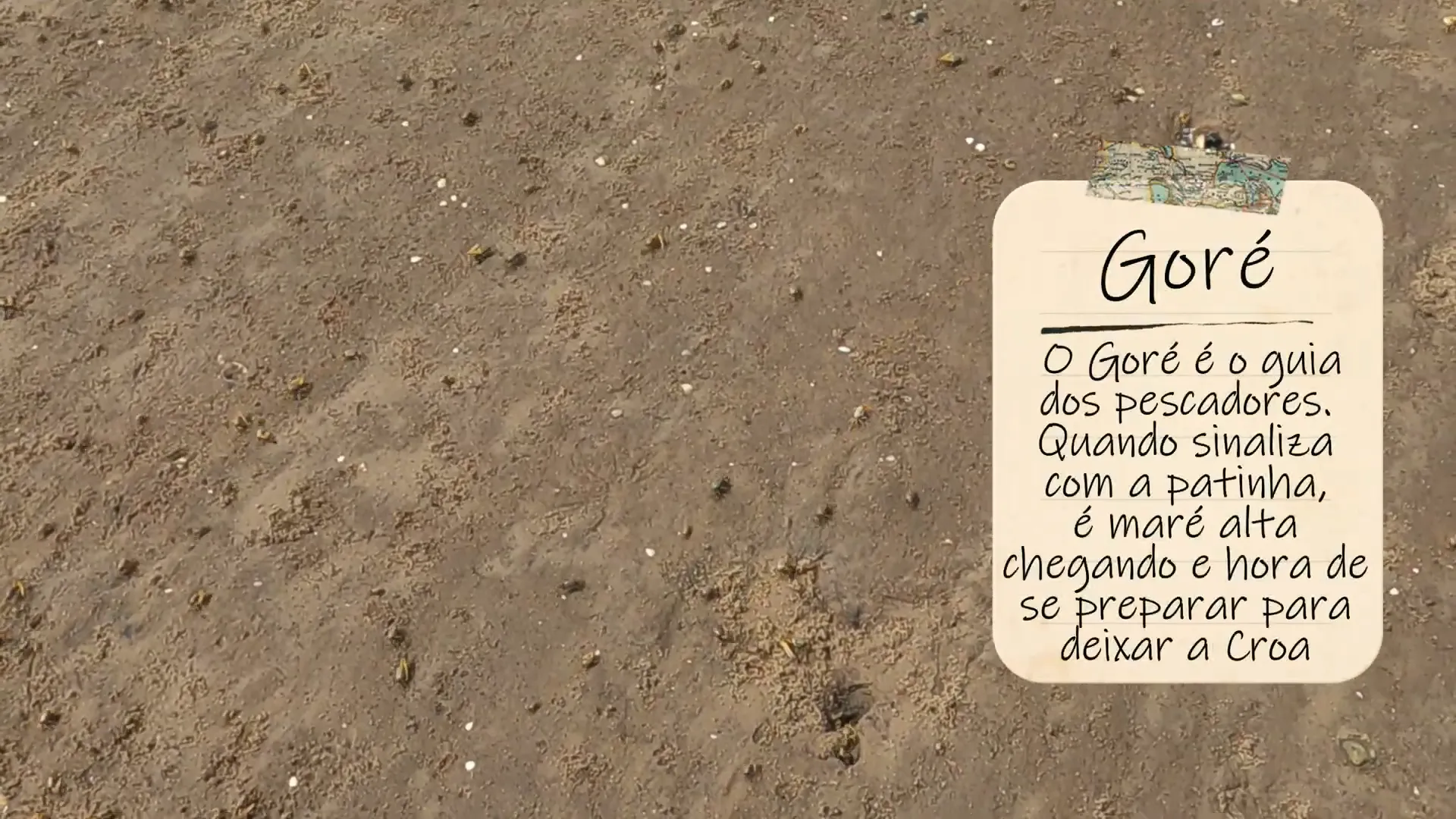 Descubra a Mágica da Croa do Goré em Aracaju 3 Caminhando cuidadosamente para não pisar nos caranguejos na Croa do Goré