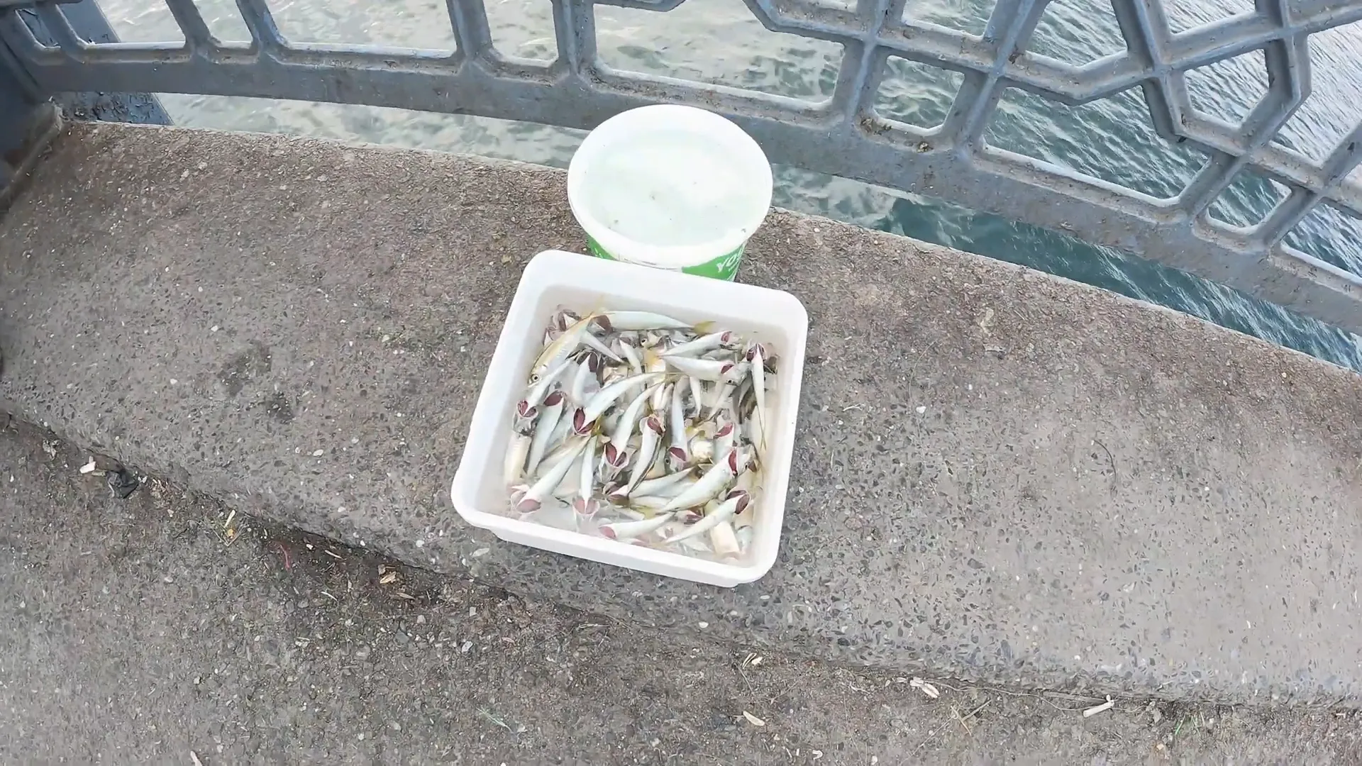 TORRE GÁLATA: Construída em 1349 Uma das mais antigas do mundo Istambul Turquia 2 Peixinhos manjubinhas pescados na ponte Gálata em Istambul Turquia
