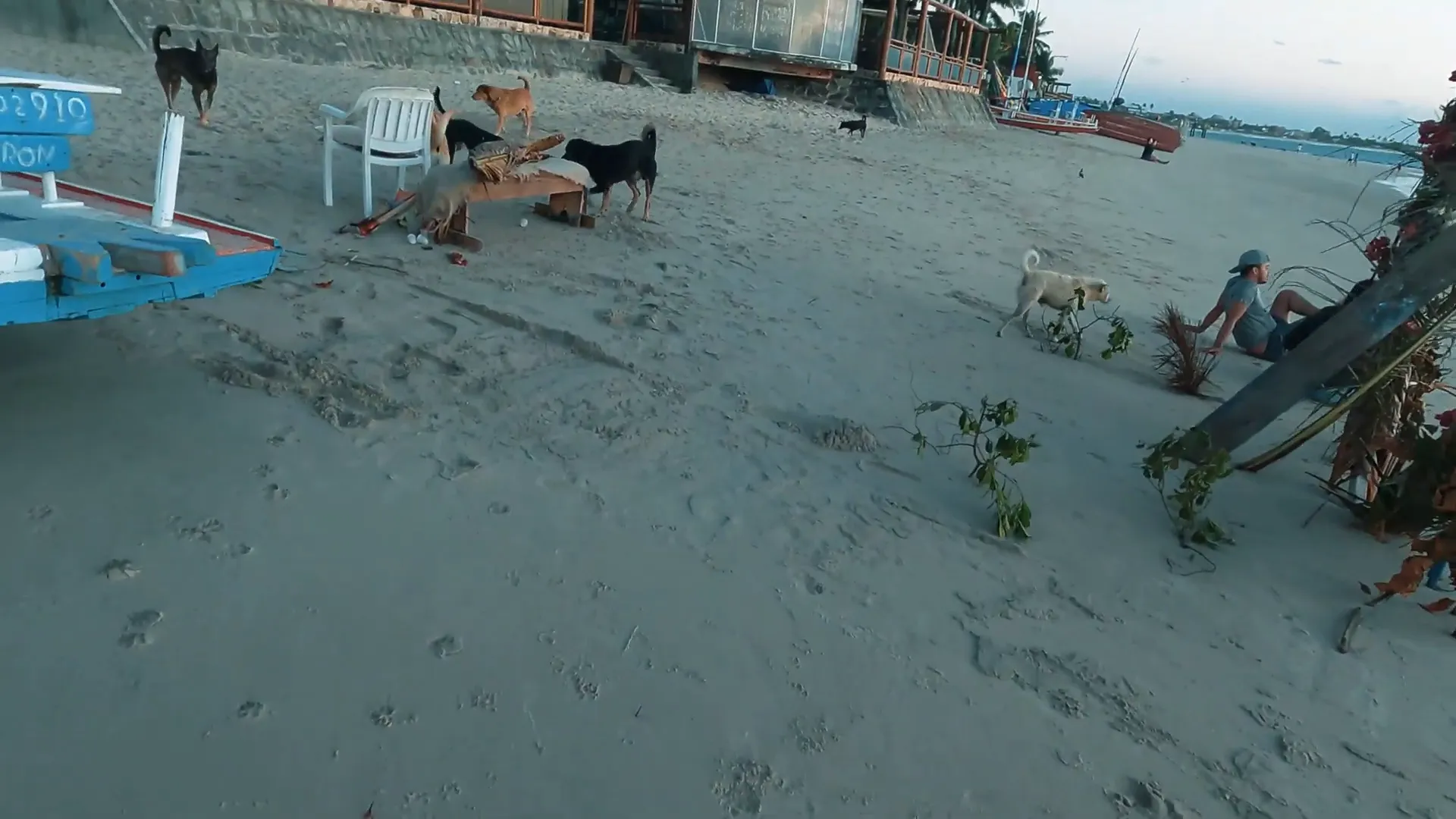 Descubra as Piscinas Naturais de Porto de Galinhas – Paraíso em Pernambuco! 2 Jangadeiros preparando as jangadas para o passeio