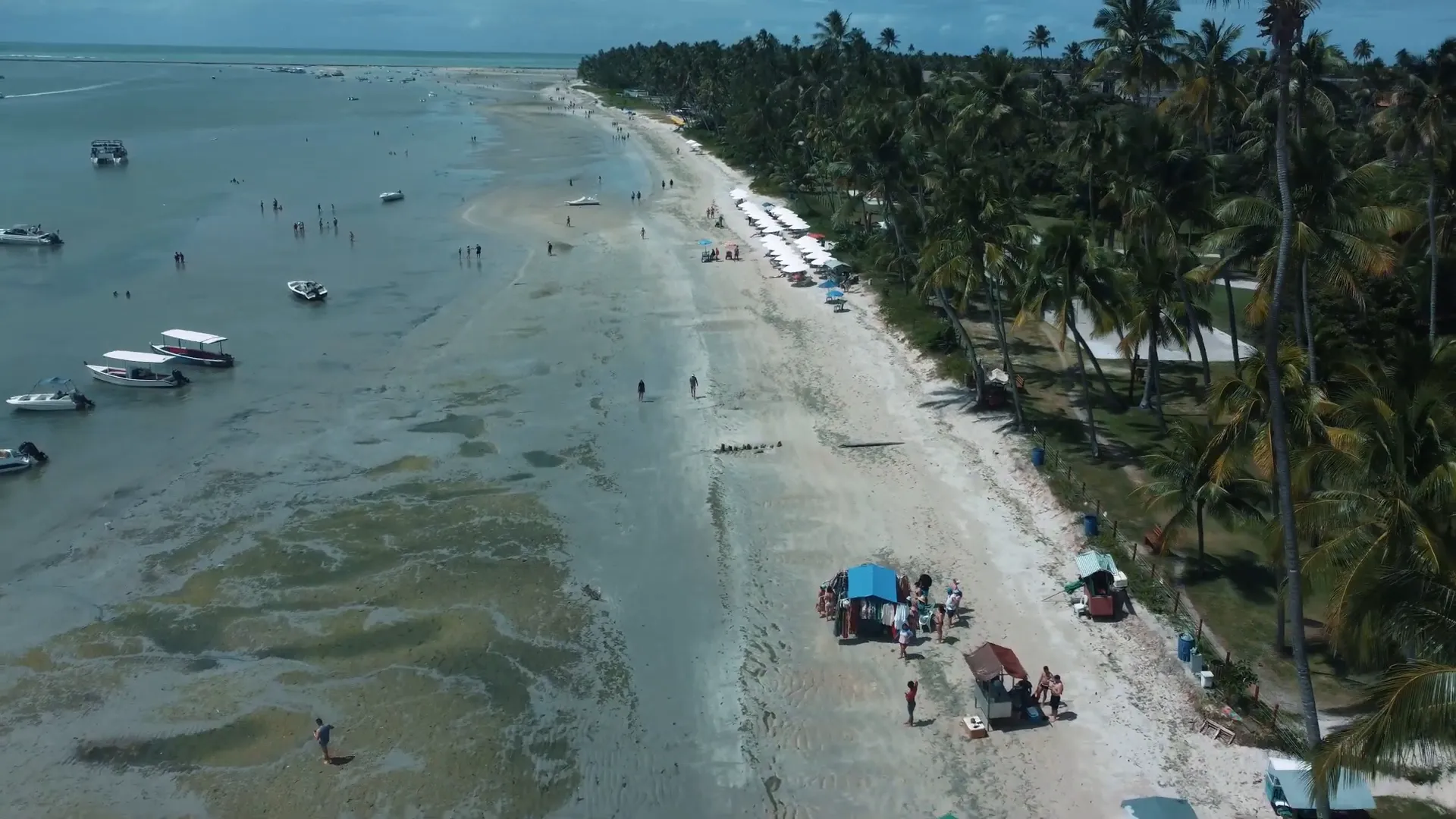 Praia dos Carneiros: Um Paraíso Escondido no Litoral Sul de Pernambuco 1 Vista aérea da Praia dos Carneiros com coqueiros e águas cristalinas