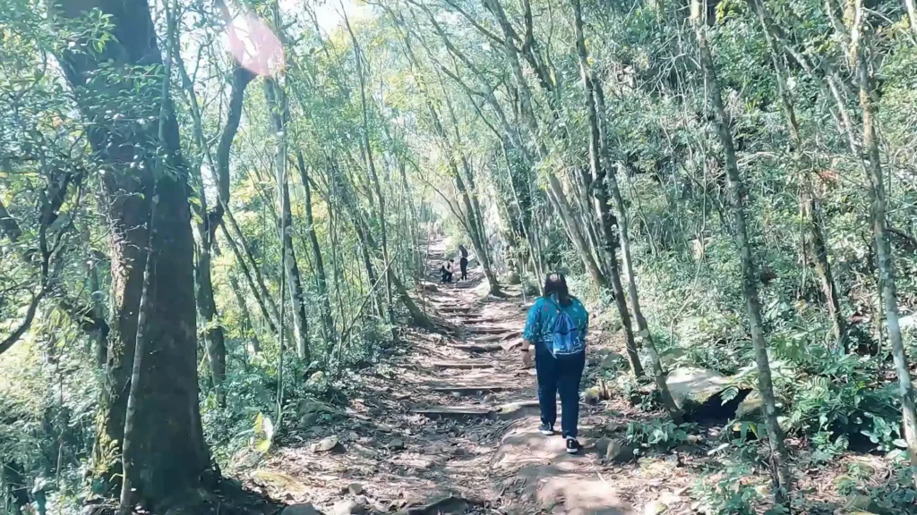 Trilha descendo para a base da Cascata do Caracol