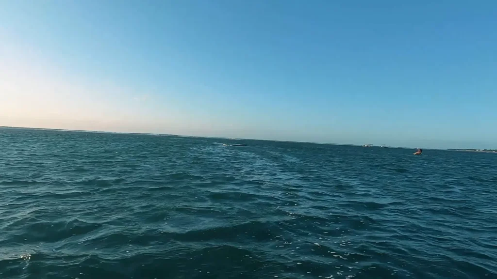 Piscinas naturais de Porto de Galinhas com águas cristalinas e muitos peixes