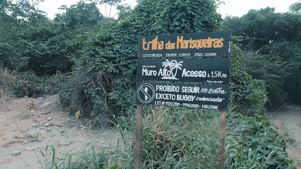 Trilha das marisqueiras, caminho rústico entre a mata atlântica em Porto de Galinhas