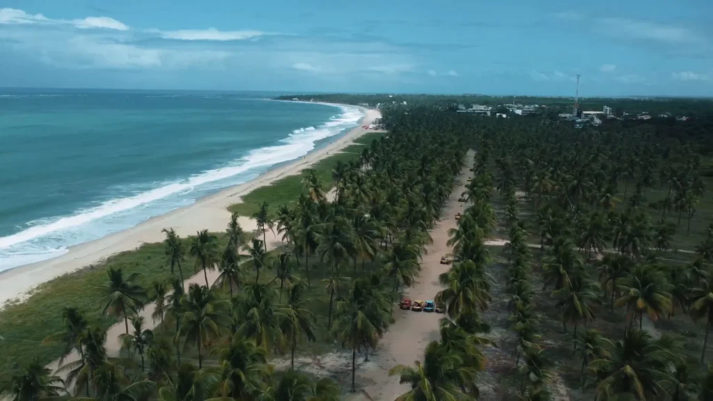 Rota dos Coqueiros em Maracaípe, com muitos coqueiros e praia ao fundo