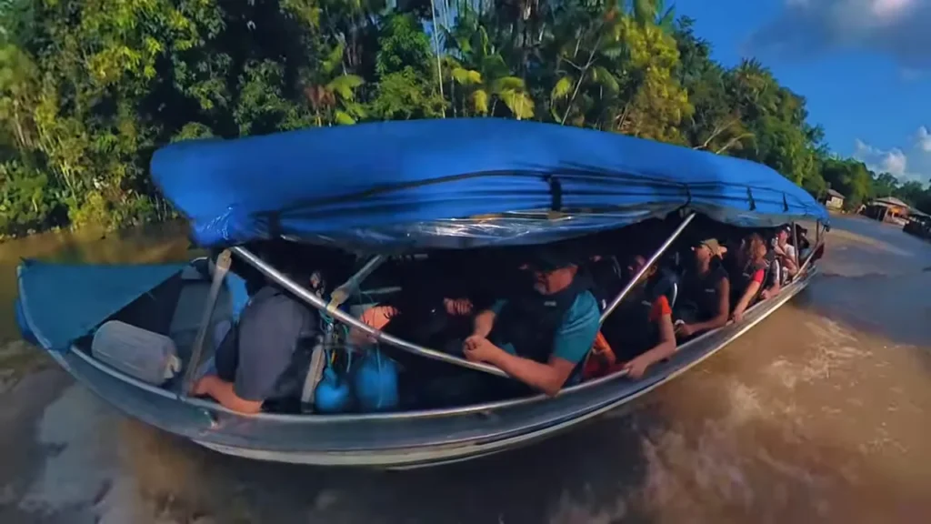 Área verde preservada e igarapés na Ilha do Combu Belém do Pará