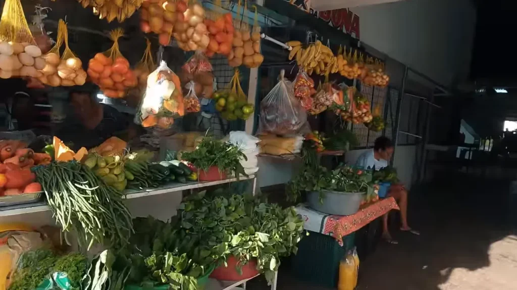 Mercado municipal de Soure: bancas de frutas, peixes e kiosques para café da manhã