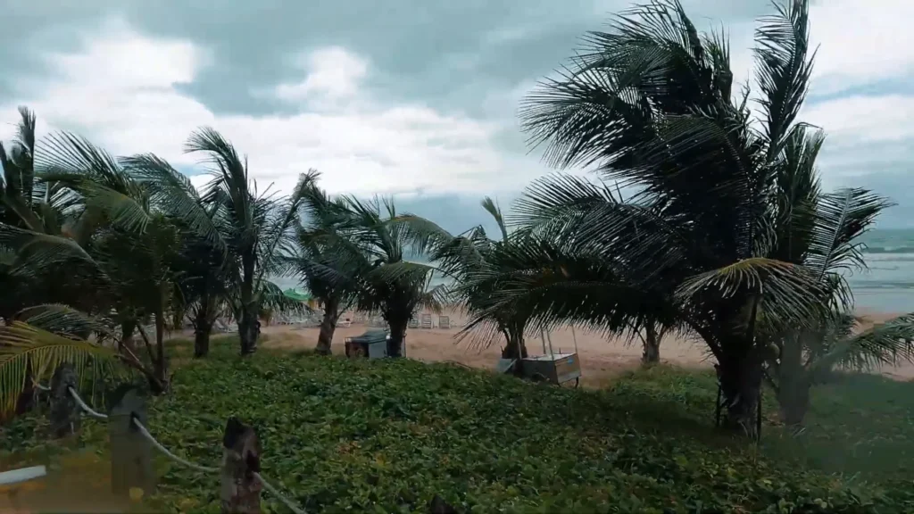 Descobrindo os Segredos de Porto de Galinhas: Um Passeio de Buggy Inesquecível pela Costa de Pernambuco 3 Carro buggy atravessando trilha cercada por coqueiros e natureza