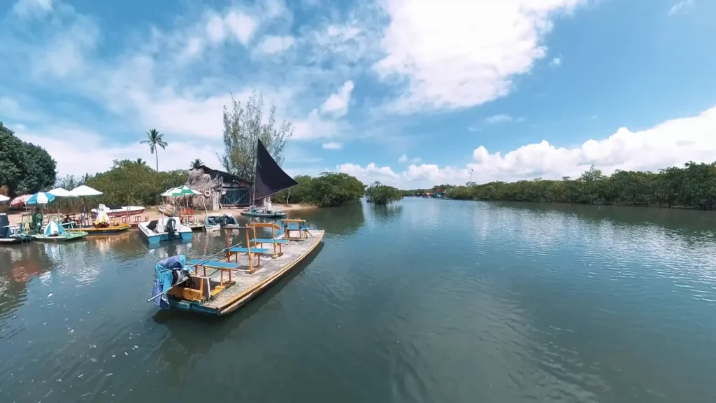 Descobrindo os Segredos de Porto de Galinhas: Um Passeio de Buggy Inesquecível pela Costa de Pernambuco 4 Jangada navegando pelas águas calmas do manguezal em Pontal de Maracaípe