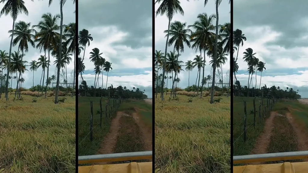 Descobrindo os Segredos de Porto de Galinhas: Um Passeio de Buggy Inesquecível pela Costa de Pernambuco 7 Buggy em trilha de areia com coqueiros ao fundo