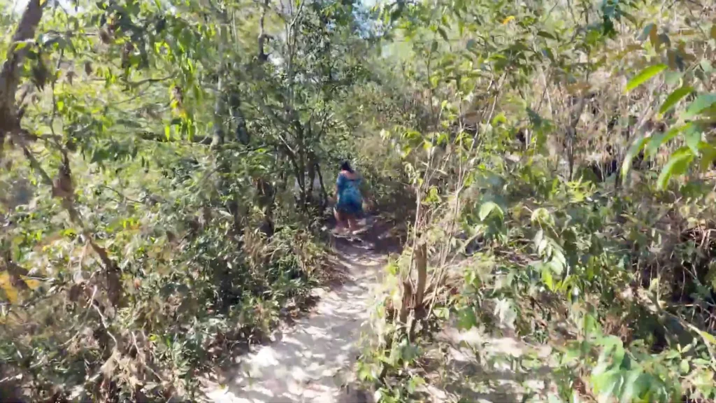Capitólio: Explorando Cânions, Cachoeiras e Piscinas Naturais – Guia Completo para Sua Viagem 6 Trilha para a Cachoeira da Capivara margeando o ribeirão