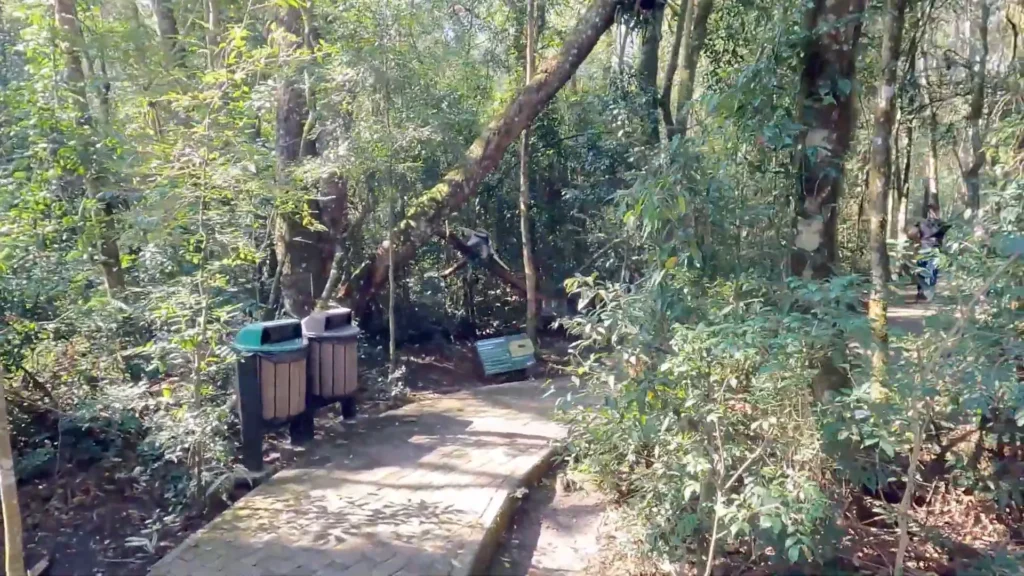 Canela: 3 Passeios Imperdíveis para Fazer em Um Dia 6 Bondinho aéreo do Parque do Caracol partindo de uma estação